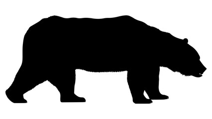 Bear silhouette isolated on transparent or white background, vector illustration