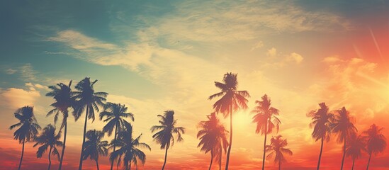 Fototapeta na wymiar Plane soaring over palm trees at sunset