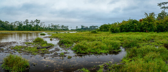 Image Number 10109697-Edit. View of Lango Bai. Odzala-Kokoua National Park. Cuvette-Ouest Region. Republic of the Congo (Congo Brazzaville).
