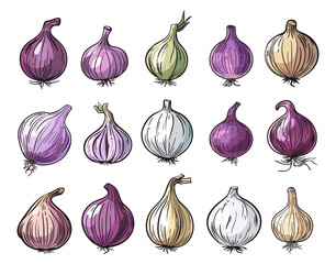 Colorful cartoon onions. Root vegetables, onion harvest elements. Farm market fresh products. Agriculture, spices, raw ingredients vector set
