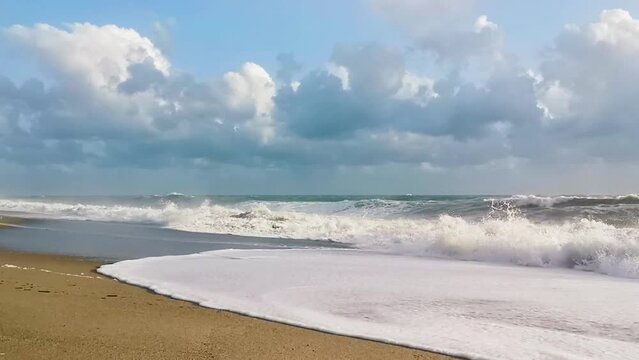 Spiaggia solitaria al rallentatore, con le onde che si infrangono sulla riva, e un gabbiano che vola all'orizzonte
