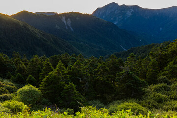Beautiful mountain with the lush forest