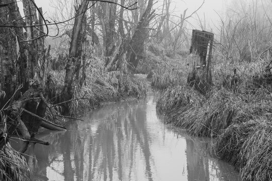 The black and white image shows a creek with dead trees and fog, a gloomy scene full of loneliness and decay.