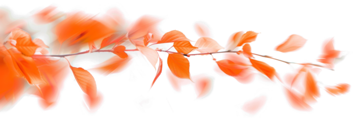 Blurry Twisted Autumn Leaves in Flight