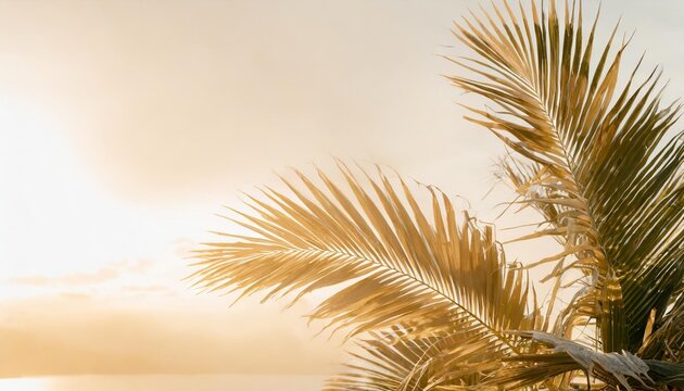 tropical leaves banner background with copy space minimal summer