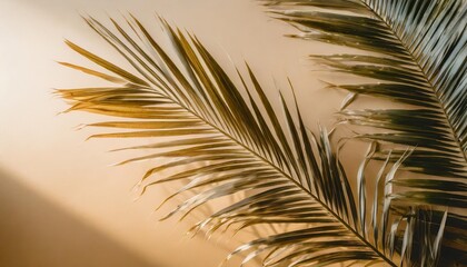 fresh palm leaves on beige background
