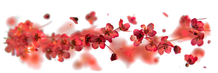 Blurry Twisting Flowers on Transparent