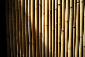 bamboo wall background