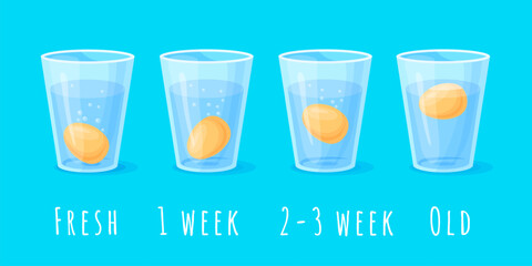 Egg freshness test. Testing fresh chicken eggs floating in glass of water, science physics experiment buoyancy infographic kitchen food good bad nutrition, neat vector illustration