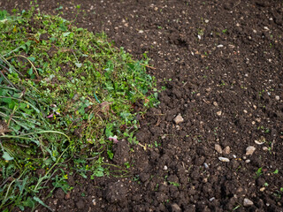 Green waste on garden soil