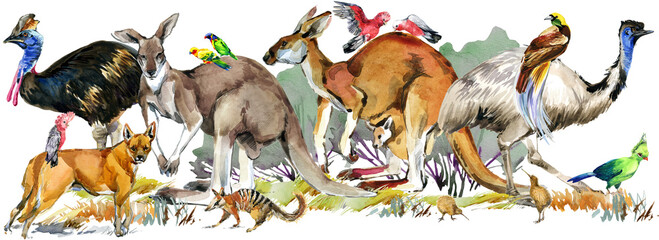 Australia animal and bird watercolor banner. Hand drawn  realistic illustration of Astralian wildlife fauna.