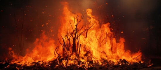 A wildfire engulfing a tree in flames, creating a hazardous event with extreme heat, gas emissions, and air pollution as an atmospheric phenomenon