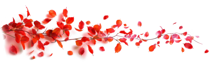 Flying Leaves in a Dynamic Twist