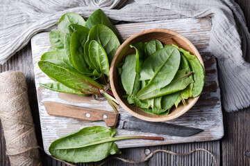 Top view on fresh organic sorrel leaves in wooden bowl with knife close up. Food photography