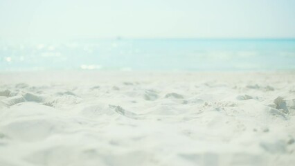 white beach background.