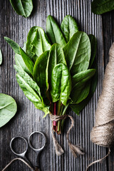 Bunch of fresh organic sorrel leaves on wooden table with scissors and rope. Food photography - 767276125