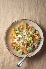 Sicilian traditional pasta with fave beans, green onions, pancetta, wild fennel and  ricotta salata  (salt ricotta). Poor cuisine, la cucina povera of Sicily.. Spring, Easter recipes, close up - 767277921