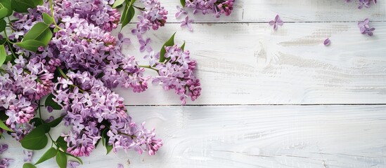 Lilac flowers displayed on a white wooden surface during spring. Seen from above with space for text.