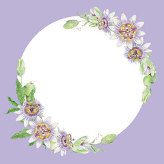 Lilac square background with Passion flower round watercolor arrangements. Purple and green hand painted Passiflora floral frame with flowers and buds.