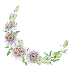 Passion flower half-round watercolor wreath isolated illustration. Purple and green hand painted Passiflora floral frame with flowers and buds.