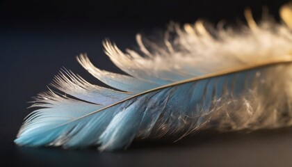 close up blue feather on black background with blurry image of feathers and bird s feathers