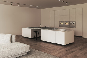 Modern minimalist kitchen and living room interior with stylish furniture