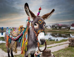 Tuinposter animal, spirit, shamanism, personal, companion, animal form, loyal, personal companion, loyal companion, donkey, mule © Gabriella88