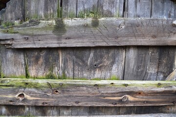 old wooden door texture with moss
