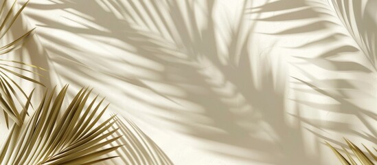 Obraz premium Shadows of palm leaves cast on a white wall and cream-colored floor make an abstract background for a summery mock-up.