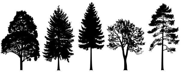 Realistic trees in black and white color, nature park silhouette icons. Different trees and shrubs of coniferous and deciduous forest with grass meadows. png on transparent background - obrazy, fototapety, plakaty