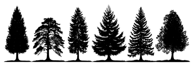 Foto op Aluminium Realistic trees in black and white color, nature park silhouette icons. Different trees and shrubs of coniferous and deciduous forest with grass meadows. png on transparent background © Avector
