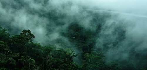 A dense fog rolling through a dense forest, shrouding the trees in mystery, with blank labels for text.
