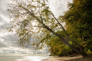 Jesienny brzeg morza w Gdańsku