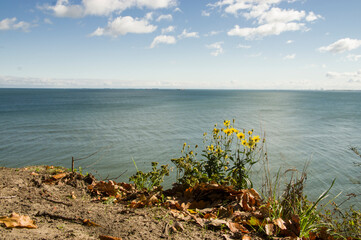 Widok na morze Bałtyckie z klifu orłowskiego