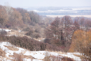 Bushes, trees, dead wood, fields covered with snow on the horizon - 767291771