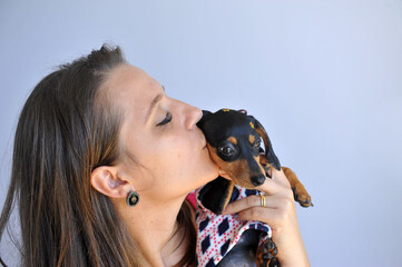 amor canino, mulher com filhote de duchshund fofo  - obrazy, fototapety, plakaty