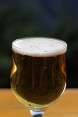Refreshing Elixir: Vertical Shot of Full Fresh Beer Glass