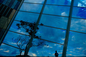 Contemplative silhouette before Lanyang Museum's gleaming facade, a poetic interplay of nature's...