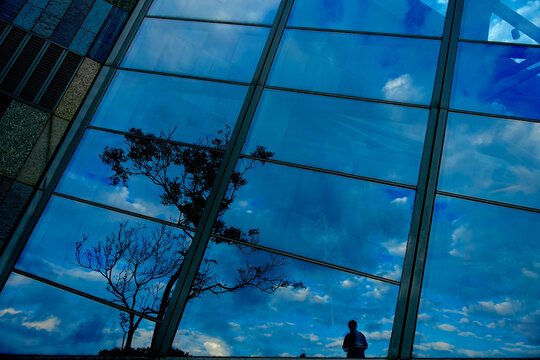 Contemplative silhouette before Lanyang Museum's gleaming facade, a poetic interplay of nature's whimsy and human design under the expansive Yilan sky.