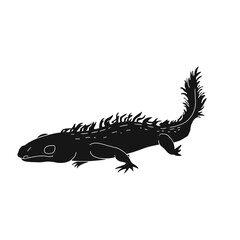 Axolotl Silhouette