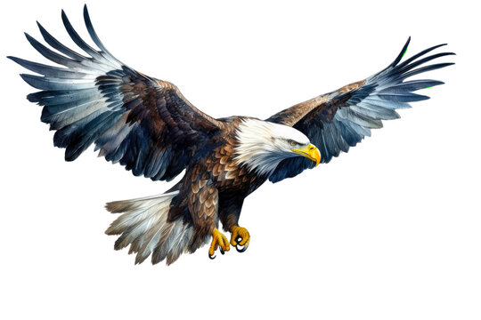 Illustration of a flying eagle with wide spread wings. PNG