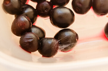  Cyzygium Cumini Fruit