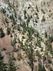 Aridic landscape viewed from Highway 99 on the way to lillooet - British Columbia - Canada