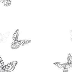 Continuous line butterfly art. Outline single art butterfly hand drawn sketch element on white background. Concept spring nature, fly. Vector