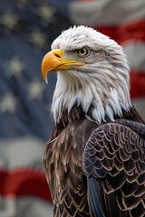 Obraz premium North American Bald Eagle with an American flag on the background. Glorious close-up of a bald eagle, surrounded by the American flag.