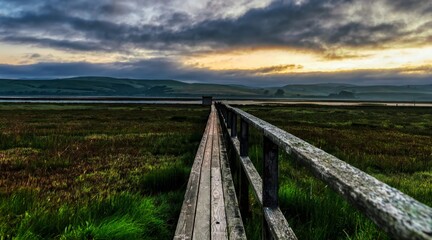 Fototapeta premium Wooden walkway to Tomales Bay