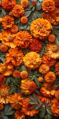 lush of marigold flowers in shades of orange and yellow