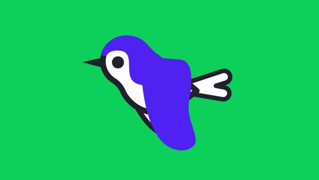 A bird Flying in green screen. Bird animation in green background.