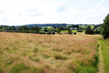 Meadow farmland field in late summer