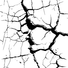 Black and White Cracked Earth Texture Vcetor
